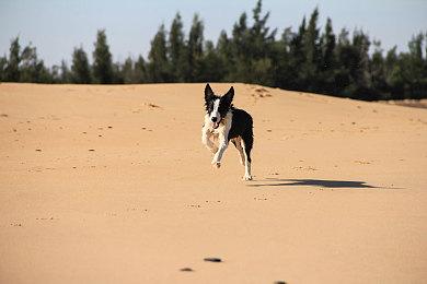 《赛博朋克2077：往日之影》媒体评分9月20日解禁 PS5版24日开始预载