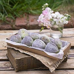 《最后的生还者》PS5版更多细节即将公布 会令人惊叹